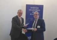 Image / illustration