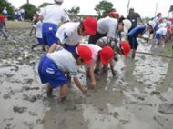 Image / illustration