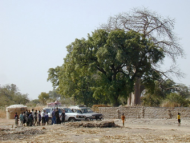 Image / illustration