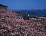 Image / illustration