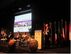 Image / illustration